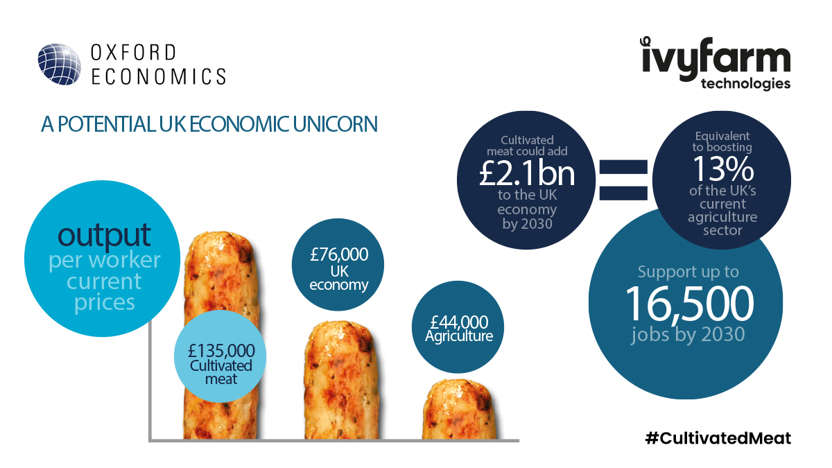 PRESS RELEASE | Support sustainable, cultivated meat or lose £2.1bn economy boost, government warned  | OXFORD ECONOMICS