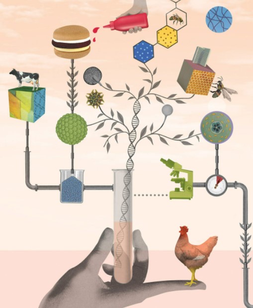 We invented the cow 10,000 years ago. Lab-grown meat is just the next step | The New Statesmen