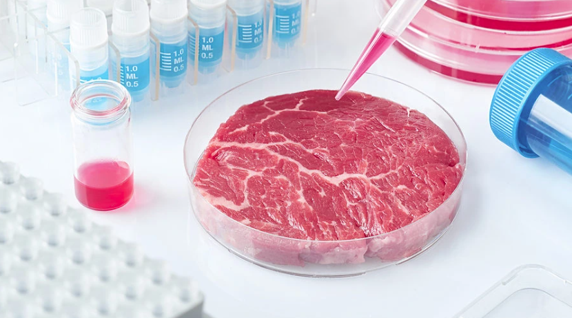 Investors show appetite for UK lab-grown meat – but regulations need ‘overhaul’ | UKTN