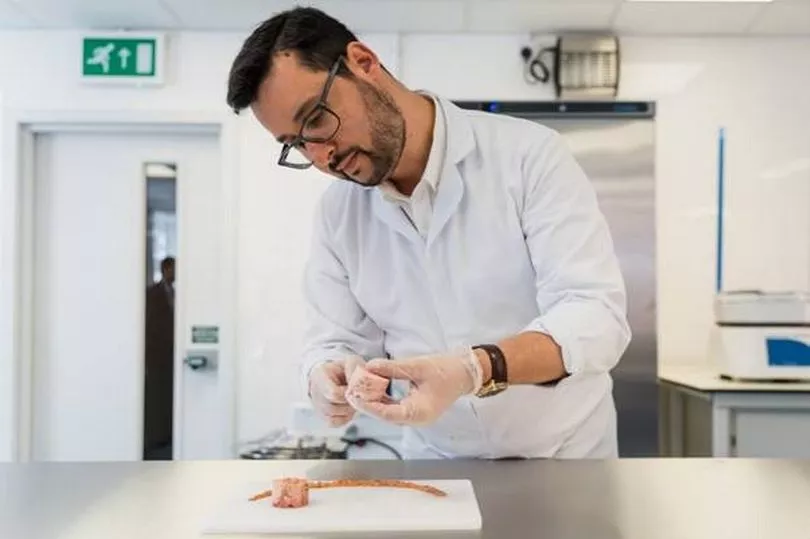 Business Live: Newcastle Lab-meat innovator partners with UK counterpart to support Chinese growth plans