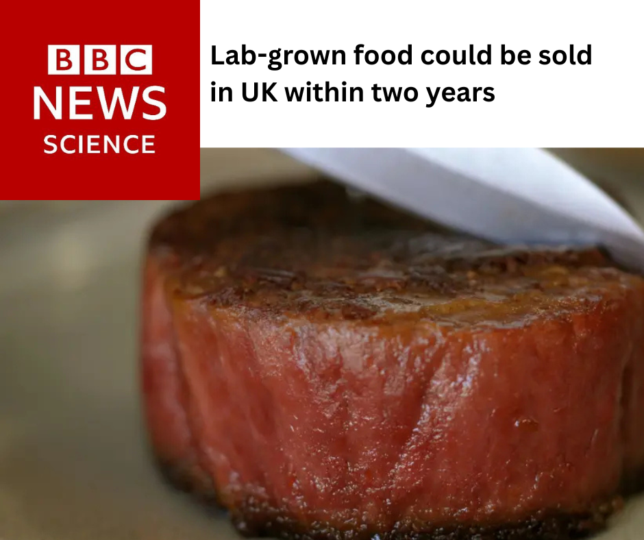 BBC’s Pallab Ghosh Explores the Regulatory Pathway of Novel Foods here in the UK